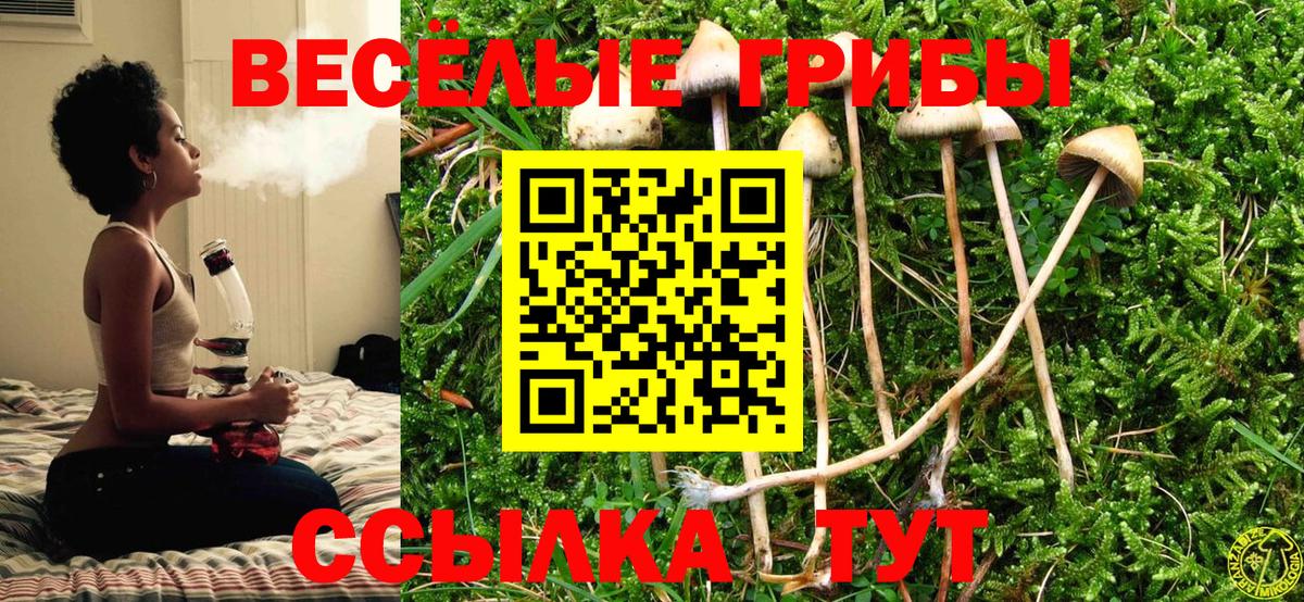 Ливны  Псилоцибиновые грибы GOLDEN TEACHER  Вход с VPN 