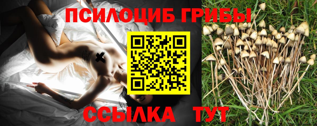 Псилоцибиновые грибы мицелий Ливны